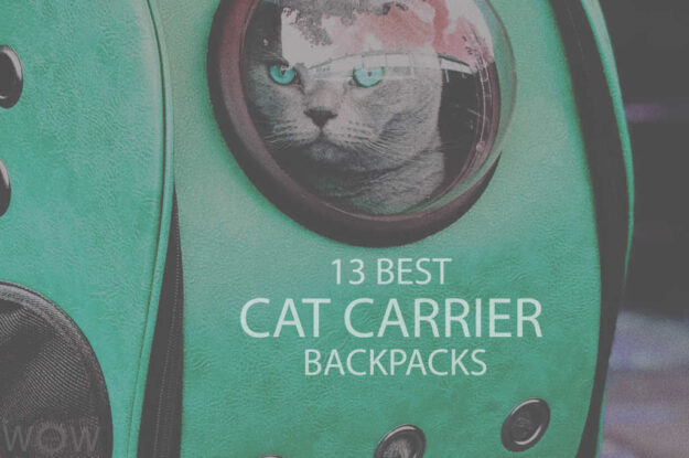 13 Best Cat Carrier Backpacks