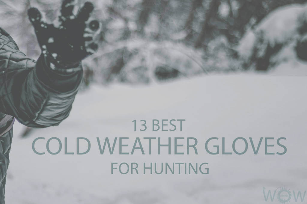 13 Best Cold Weather Gloves For Hunting
