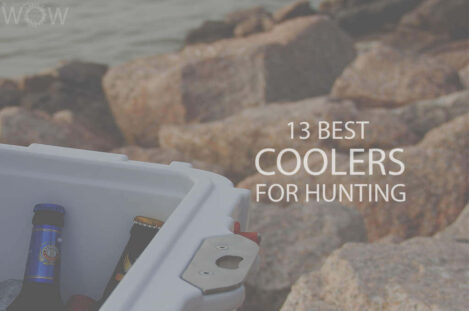 13 Best Coolers For Hunting