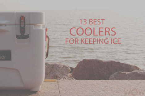 13 Best Coolers For Keeping Ice