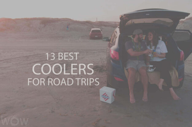 13 Best Coolers For Road Trips