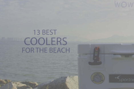 13 Best Coolers For The Beach