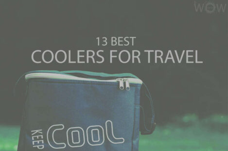 13 Best Coolers For Travel