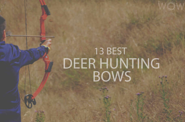 13 Best Deer Hunting Bows