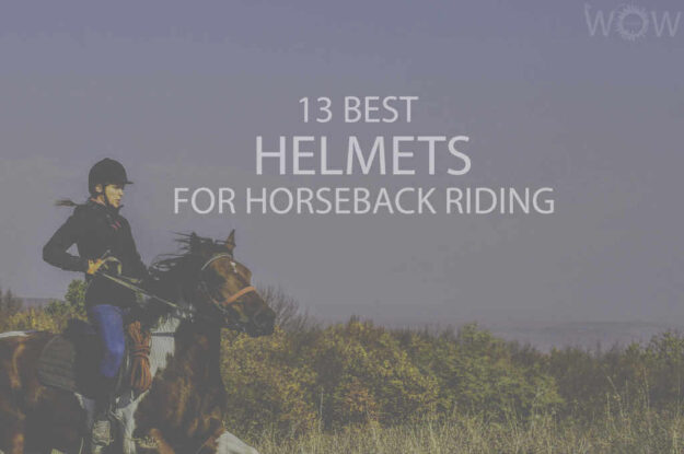 13 Best Helmets for Horseback Riding