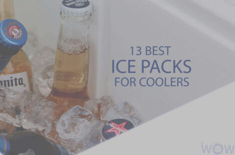 13 Best Ice Packs For Coolers
