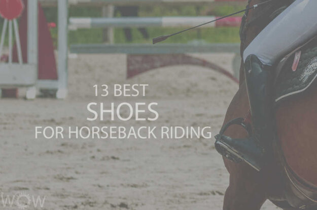 13 Best Shoes for Horseback Riding