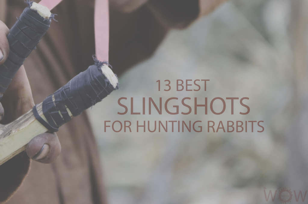 13 Best Slingshost For Hunting Rabbits