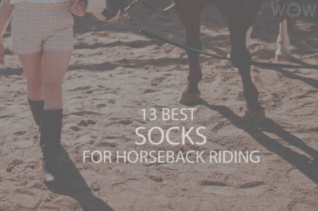 13 Best Socks for Horseback Riding