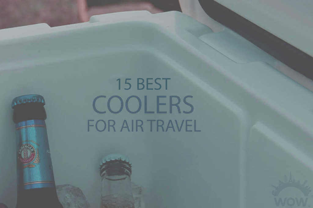 15 Best Coolers for Air Travel