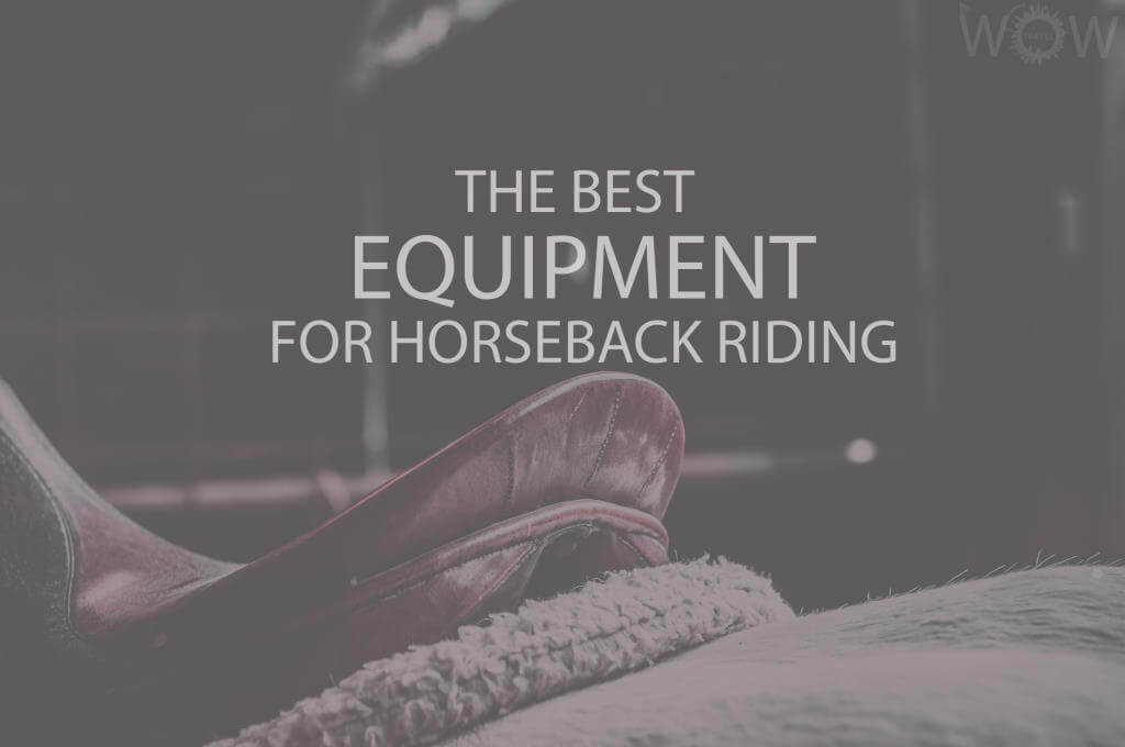 The Best Equipment for Horseback Riding