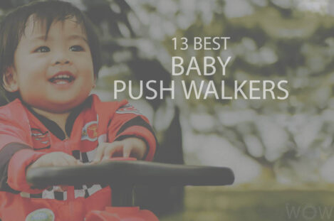 13 Best Baby Push Walkers