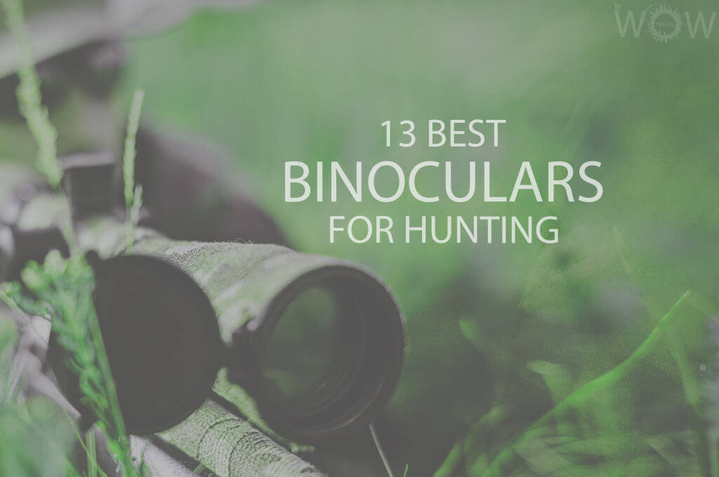 13 Best Binoculars For Hunting