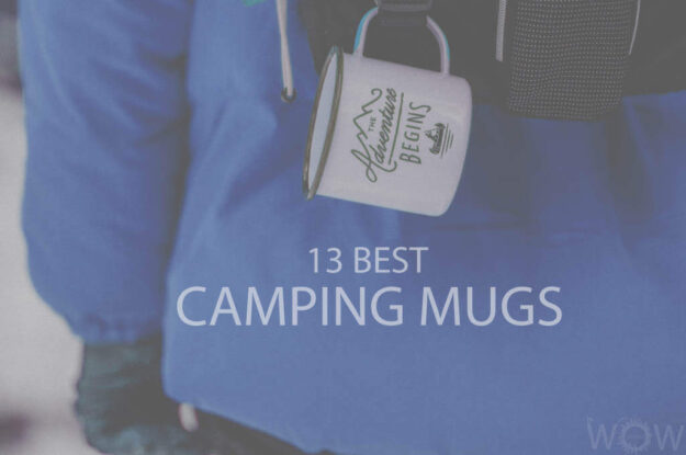13 Best Camping Mugs