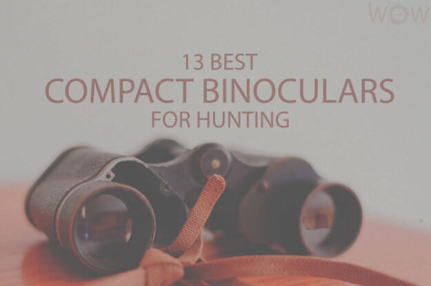 13 Best Compact Binoculars For Hunting