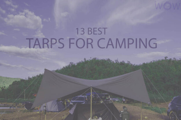 13 Best Tarps for Camping