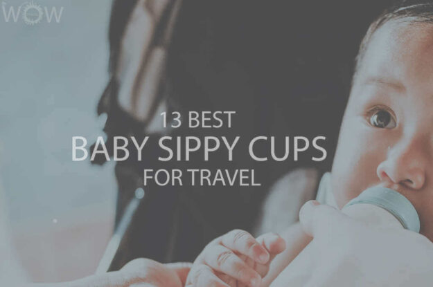 13 Best Baby Sippy Cups for Travel
