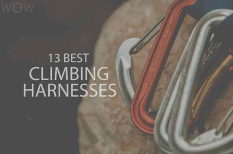 13 Best Climbing Harnesses