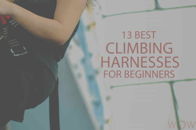 13 Best Climbing Harnesses for Beginners