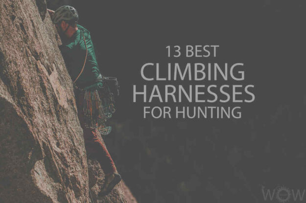 13 Best Climbing Harnesses for Hunting
