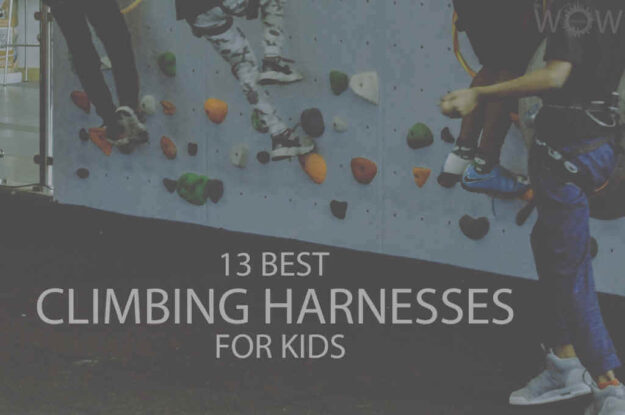 13 Best Climbing Harnesses for Kids