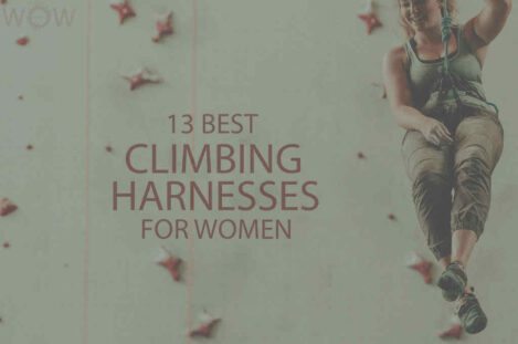 13 Best Climbing Harnesses for Women