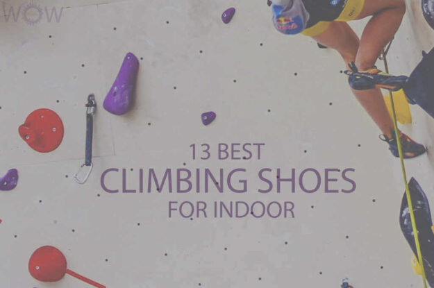 13 Best Climbing Shoes for Indoor