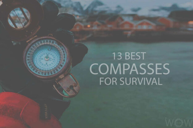 13 Best Compasses for Survival