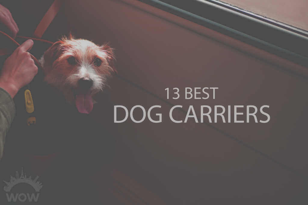 13 Best Dog Carriers