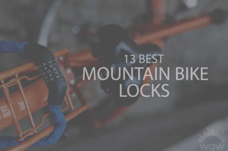 13 Best Mountain Bike Locks