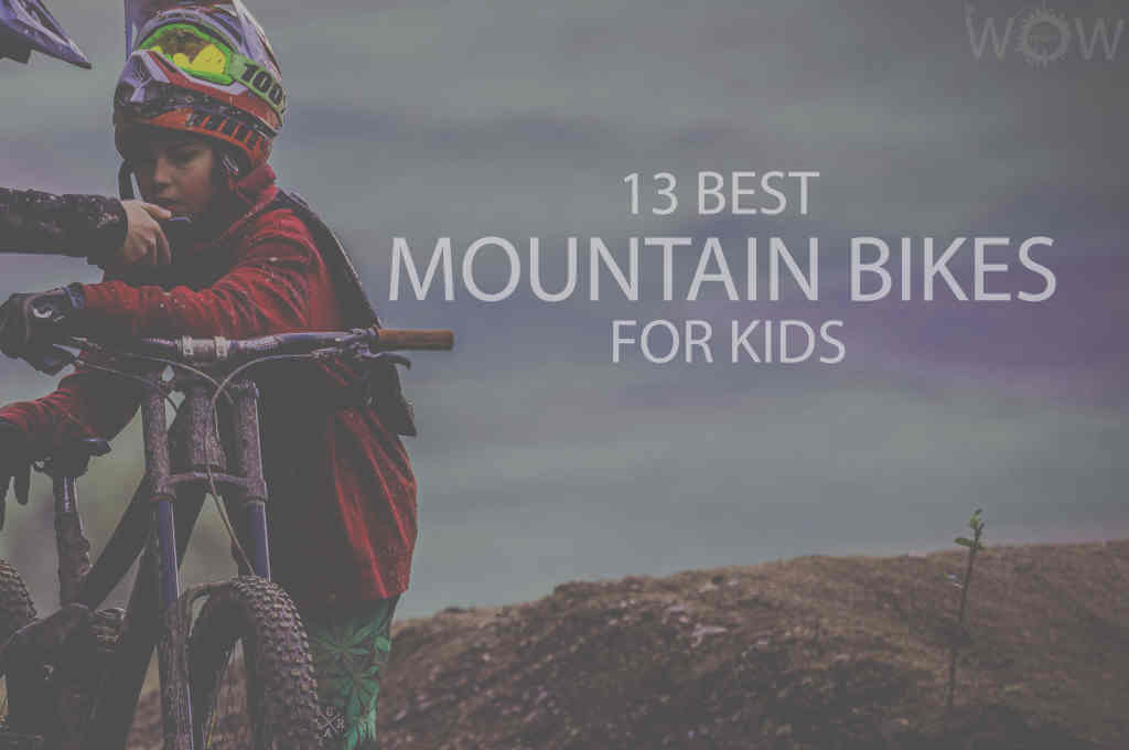 13 Best Mountain Bikes for Kids