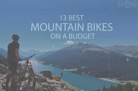 13 Best Mountain Bikes on a Budget