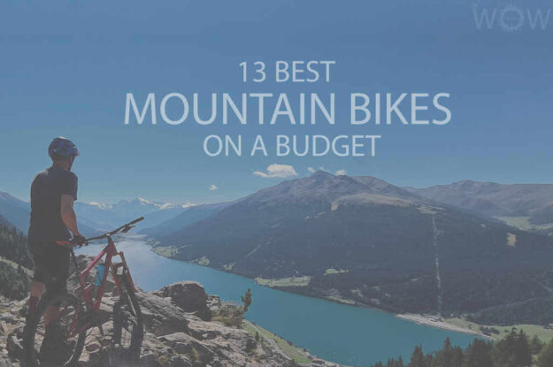 13 Best Mountain Bikes on a Budget