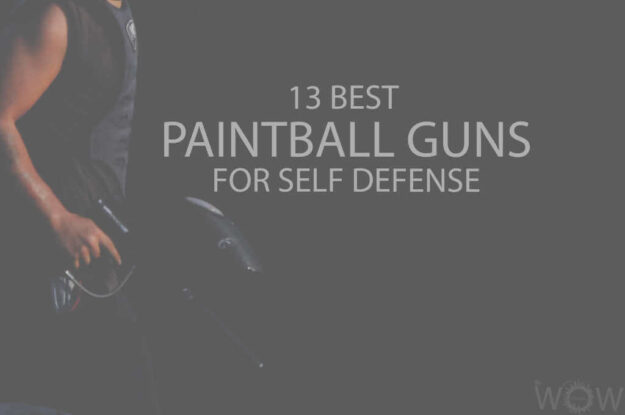 13 Best Paintball Guns for Self Defense