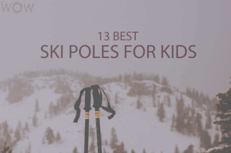 13 Best Ski Poles for Kids