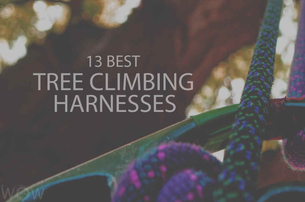 13 Best Tree Climbing Harnesses