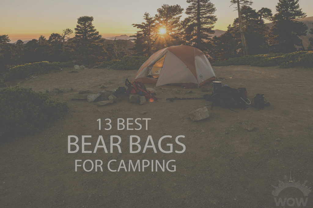 13 Best Bear Bags for Camping
