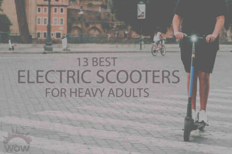 13 Best Electric Scooters for Heavy Adults