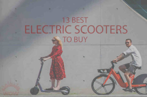 13 Best Electric Scooters to Buy