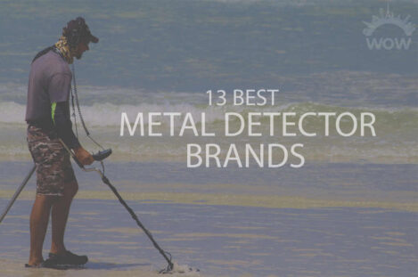 13 Best Metal Detector Brands