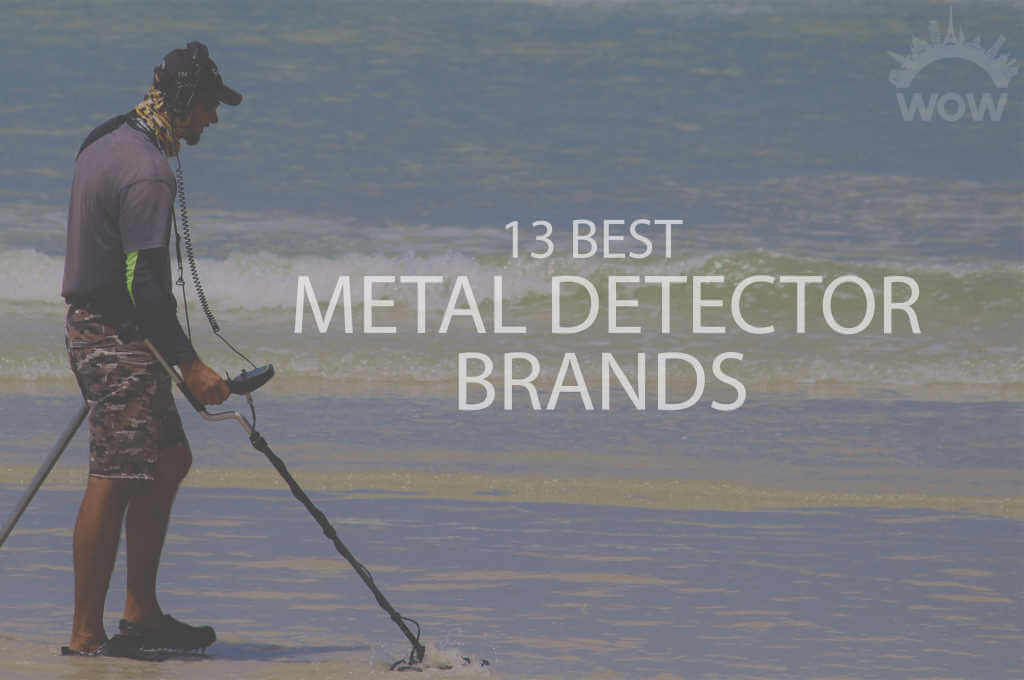 13 Best Metal Detector Brands
