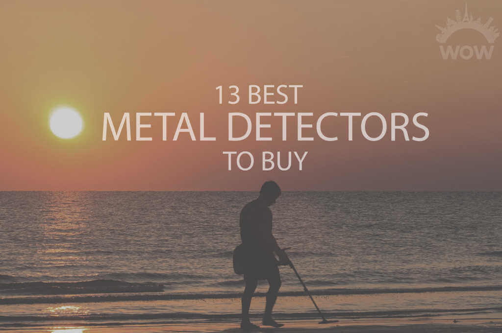 13 Best Metal Detectors to Buy