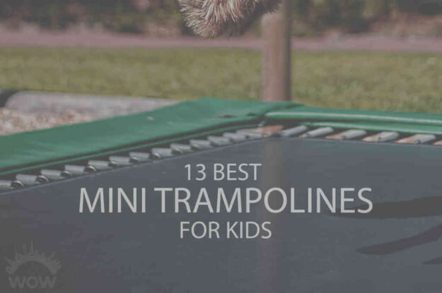 13 Best Mini Trampolines for Kids