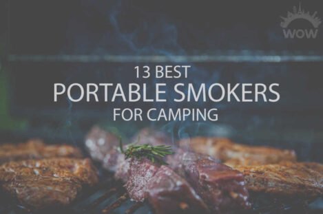 13 Best Portable Smokers for Camping