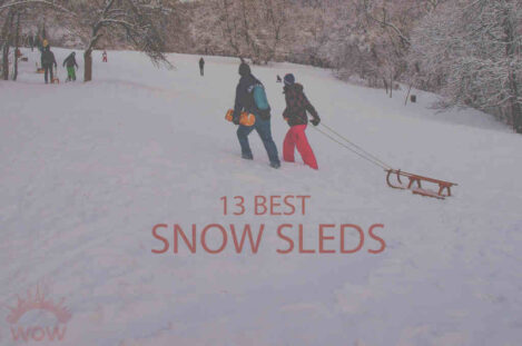13 Best Snow Sleds