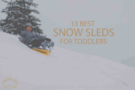 13 Best Snow Sleds for Toddlers
