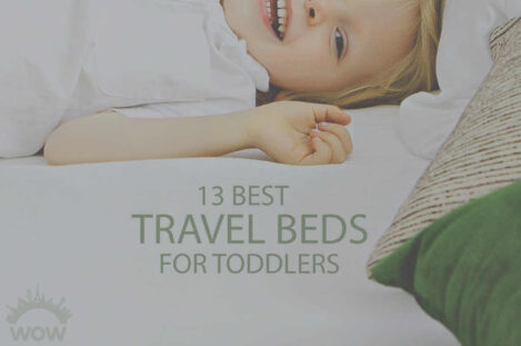 13 Best Travel Beds for Toddler