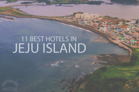 11 Best Hotels in Jeju Island