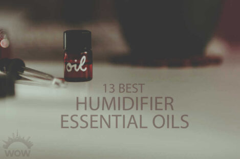13 Best Humidifier Essential Oils