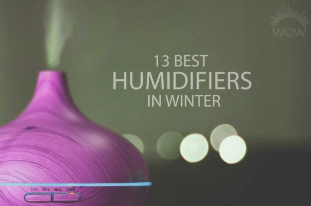 13 Best Humidifiers in Winter